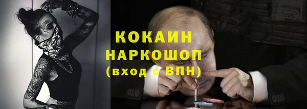 дмт Осинники