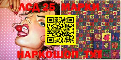 шишки Гатчина