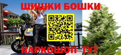 PSILOCYBIN Гай