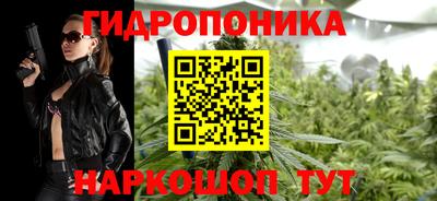 шишки Гатчина