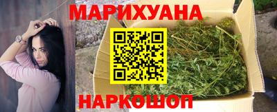 шишки Гатчина
