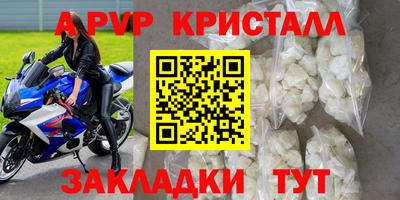 шишки Гатчина